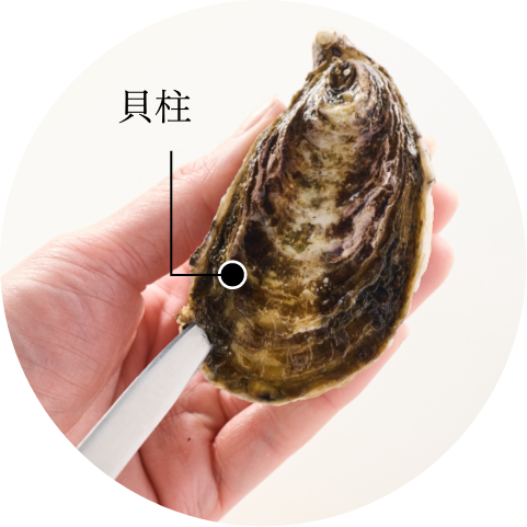 牡蠣の貝柱の位置